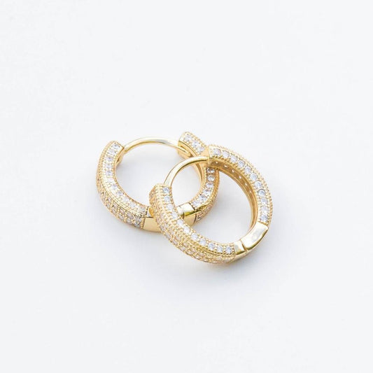 Iced Hoop Earrings - The Gifted Few